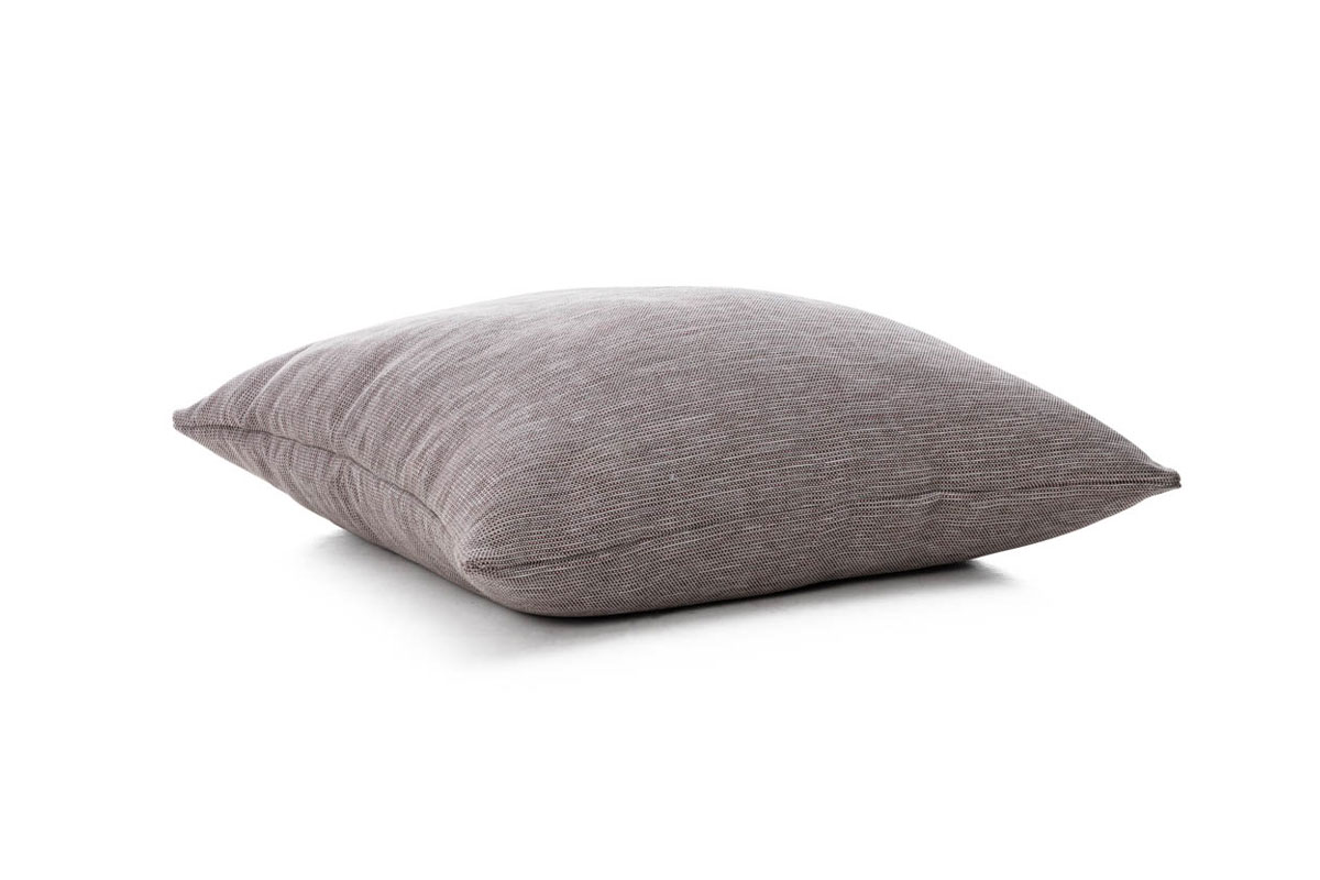 Dotty Big Roolf plum